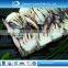 Seafood export frozen cut crab for sale