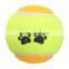 2016 New Top Selling Pet Cat Dog Play Training Tennis Ball Funny Chew Run Fetch Throw Beach Toys Pet Supplies