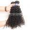 wholesale virgin malaysian hair, 100% unprocessed malaysian virgin hair, malaysian hair curly bundles