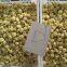 Factory Price Premium Brined Mushroom Whole in Drum