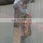 Stainless steel industry Meat Lifter/commercial Meat Elevator