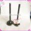 oem 4784888 4784889 Engine Valve For Fiat 806005