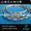 SMD5050 12 Volt Power Cord Led Strip
