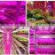 LED Plant Grow Strip Light Full Spectrum SMD5050 Red Blue 4:1 Rope Light for Aquarium Greenhouse Garden