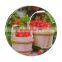 CE Certificated 4mm 5mm Tempered Glass Chopping Board