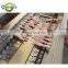 Full Set Production Line Chicken Paw Cutting Machine Price