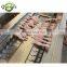 Automatic Full Set Production Line Chicken Feet Processing Peeler Machine