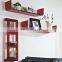 Custom Wall Mounted Acrylic Book Shelf