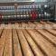 New Cereal Bar Production Line For Healthy Muesli, High Efficiency Peanut Energy Bar Making Machine