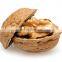 CHINA USA  TURKEY MEXICO UKRAINE CHILE INDIA DUBAI Walnut in shell and kernel raw and roasted walnut price