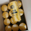 Cat C15 Hydraulic/Transmission Oil Filter 173-0159 FILTER GP-OIL 126-1813 FILTER