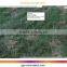 Global GPS tracking system with Google map car tracking system tracking platform
