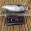 frozen grey mullet with small size
