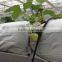 Hot Dipped Galvanized Professional Greenhouses Used