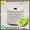 hot new products for Cangnan Ne2s/8 recycled cotton mop yarn