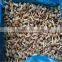 IQF Frozen Nameko M L grade European market