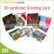 Factory supply 3D Lenticular printing custom greeting cards