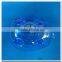 Clear plastic pig shaped piggy bank