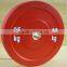 Colourful Rubber Bumper Weight Plates (stainless steel ring)Colourful Rubber Bumper Weight Plates (stainless steel ring)