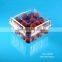 1000g Square Disposable Plastic Fesh Fruit Packing Container with Vent Hole