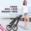 Cool and fashionable new products hot electric foldable scooter