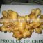 china air dry ginger