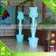 Color Change LED Decorative Floor Light
