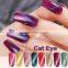 15ml Cat Eyes Gel Nail Polish Nail Art Varnish UV LED Lamp Manicure Magnetic Gel Tips