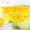 Chinese organic chrysanthemum blooming flower tea
