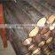 mild steel seamless tubes