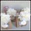 Chinese new year tissue paper pom poms poms