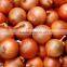 Automatic Fresh Onion Ring Processing Line; Machines for Fresh Onion Ring