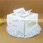 Mini Cupcake Boxes and Packaging with 9 Cavity Insert Cheap