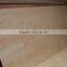 Vietnam Packing Plywoood