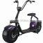 2016 Popular electronic scoot/Harley scooter/electronic scoot
