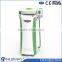 CE / FDA approved safety weight loss freeze fat cryolipolysis professional ce two handles