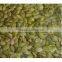 pumpkin seeds