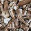 high quality VIETNAM CASSAVA CHIP