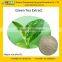 GMP & TUV certified factory supply natural Green Tea Extract catechins