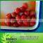 2014 crop canned straw berry