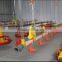 design Complete poultry chicken farm equipment for broiler and breeders