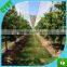 140gsm Chile cherry tree top rain coverTransparent Pe Woven fabric film for Orchard Covers