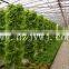 Solar greenhouse