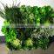 New wall frame with artificial plants