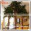 Artificial Outdoor Palm Trees,Artificial Plam Tree Leaves , Outdoor Washington Palm Trees Wholesale