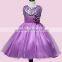 Beauty Princess One Piece Baby Girl Flower Dress Girl Party Dress Birthday Kids Children Frocks Dress Sleevless