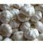 Pizhou Tianyuan Trade Garlic Co.,ltd