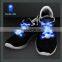 Wisdom Victory 2015 Flashing Nylon LED Shoelaces Light Up Glow Waterproof Shoestring for Disco Party