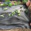 biodegradable black and silver plastic mulch film on sale