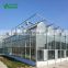 2019 Professional Hydroponics Equipment Large Size Glass Greenhouse